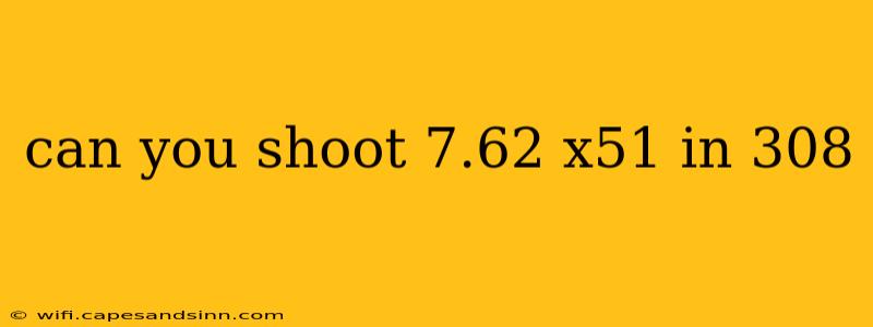 can you shoot 7.62 x51 in 308