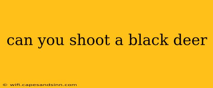 can you shoot a black deer