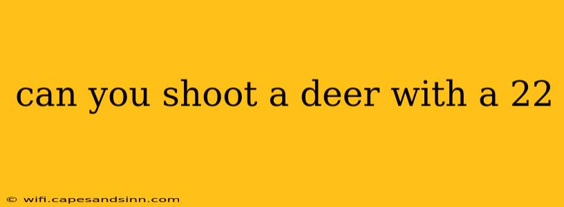 can you shoot a deer with a 22