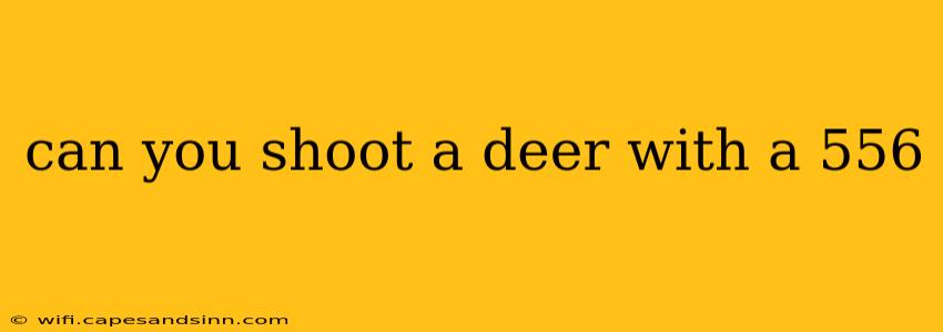 can you shoot a deer with a 556