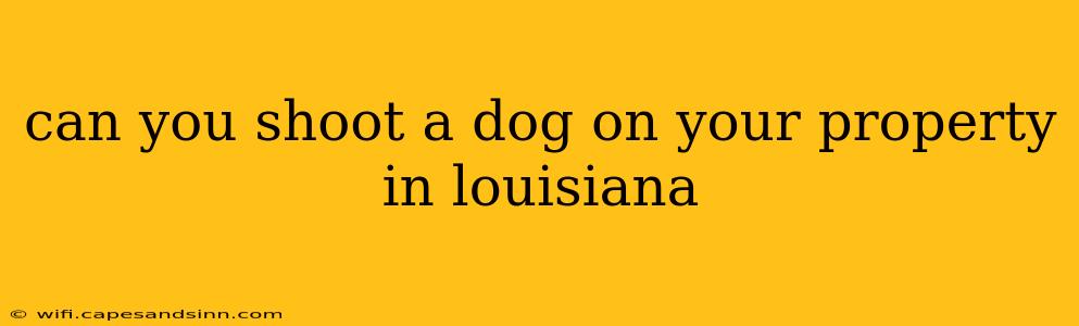 can you shoot a dog on your property in louisiana