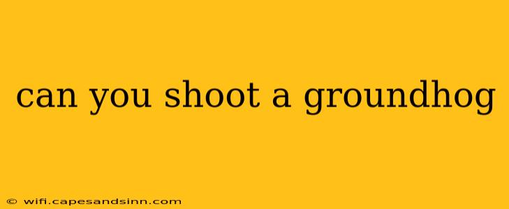 can you shoot a groundhog