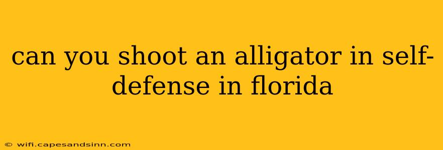 can you shoot an alligator in self-defense in florida