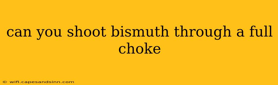 can you shoot bismuth through a full choke