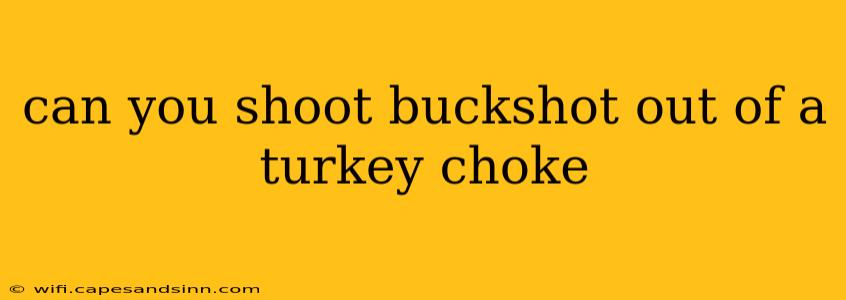 can you shoot buckshot out of a turkey choke