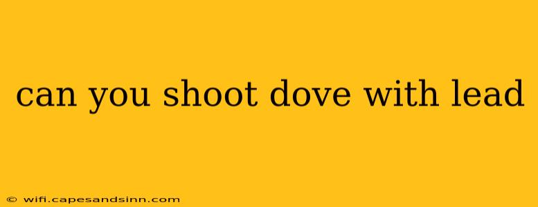 can you shoot dove with lead