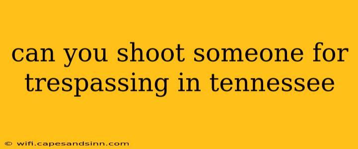 can you shoot someone for trespassing in tennessee