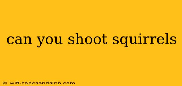 can you shoot squirrels