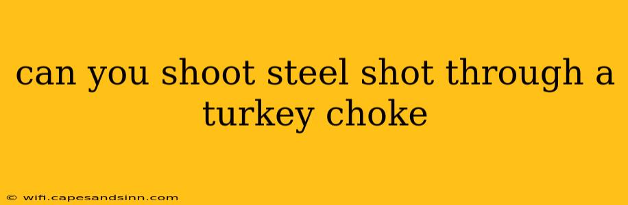 can you shoot steel shot through a turkey choke