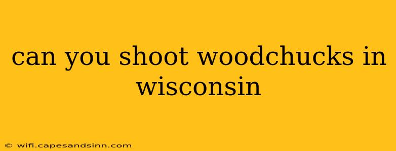 can you shoot woodchucks in wisconsin