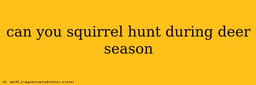 can you squirrel hunt during deer season