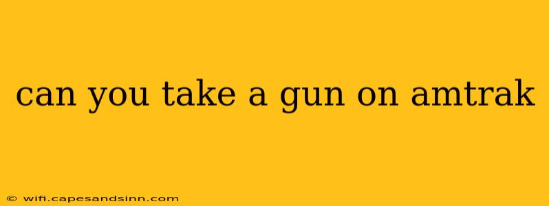 can you take a gun on amtrak