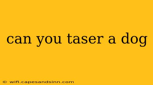 can you taser a dog