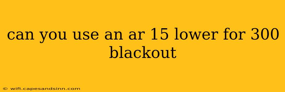 can you use an ar 15 lower for 300 blackout