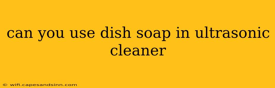 can you use dish soap in ultrasonic cleaner