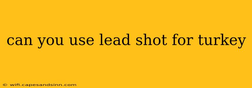 can you use lead shot for turkey