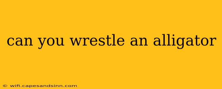 can you wrestle an alligator