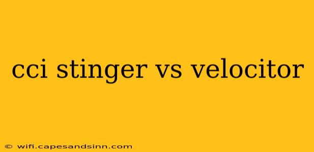 cci stinger vs velocitor