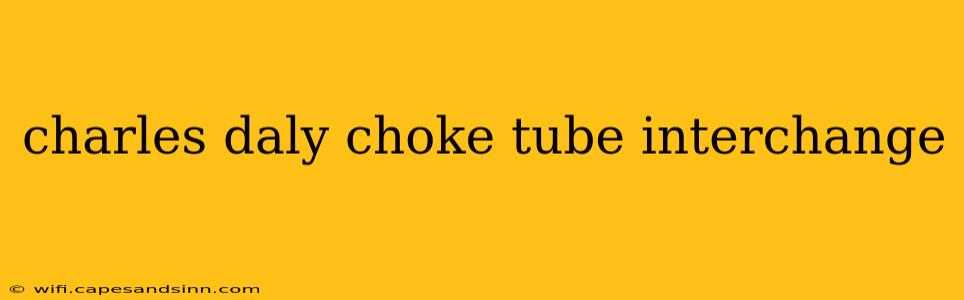 charles daly choke tube interchange