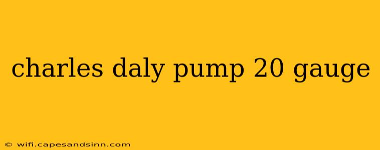 charles daly pump 20 gauge