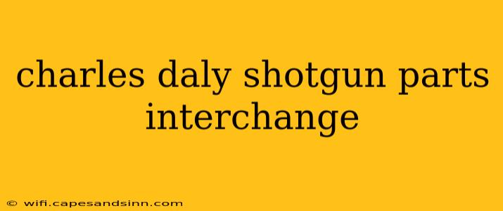 charles daly shotgun parts interchange