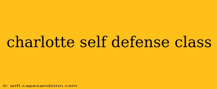 charlotte self defense class