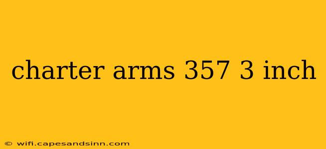 charter arms 357 3 inch