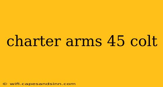 charter arms 45 colt