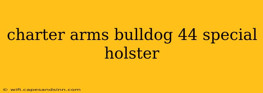 charter arms bulldog 44 special holster