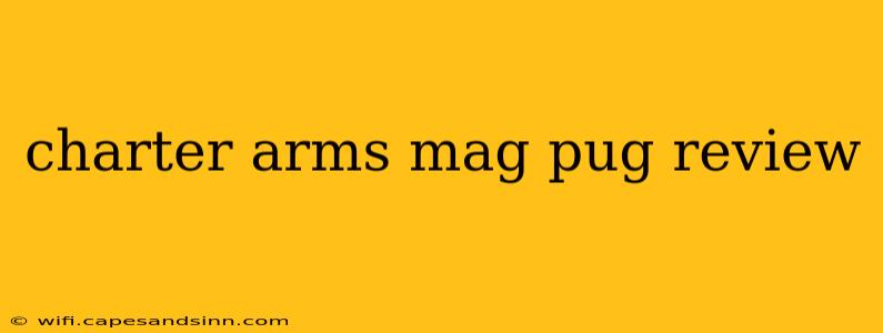 charter arms mag pug review