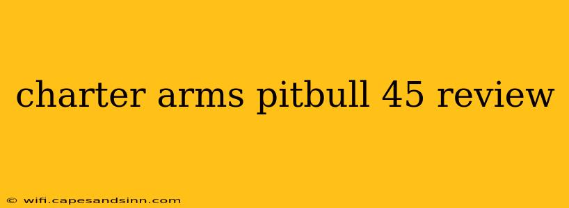 charter arms pitbull 45 review