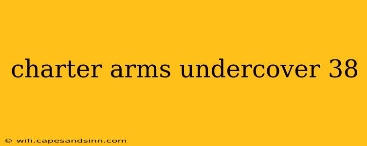 charter arms undercover 38