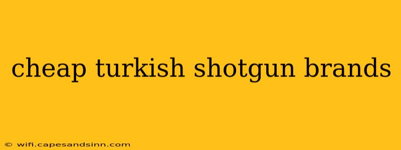 cheap turkish shotgun brands