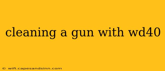 cleaning a gun with wd40