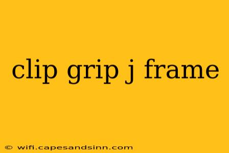 clip grip j frame