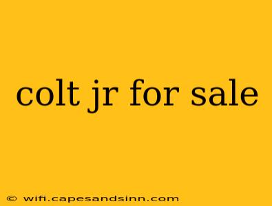 colt jr for sale