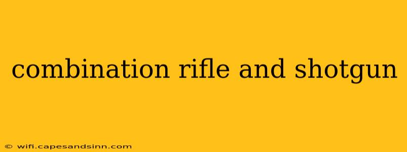 combination rifle and shotgun