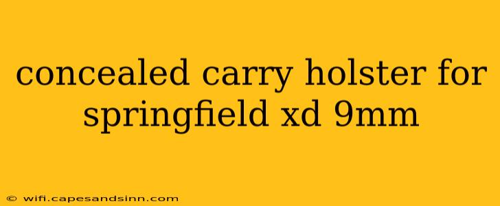 concealed carry holster for springfield xd 9mm