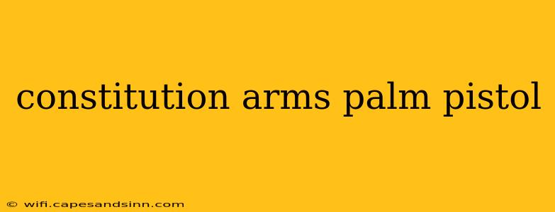 constitution arms palm pistol