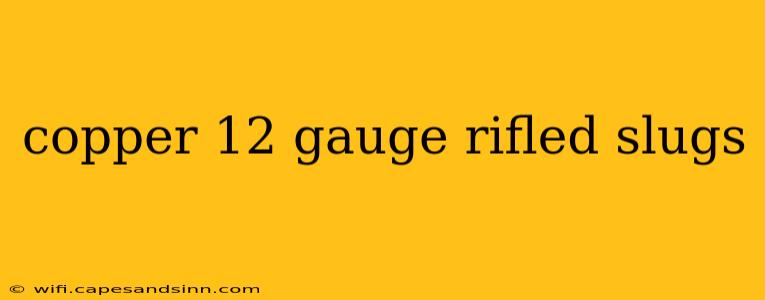 copper 12 gauge rifled slugs