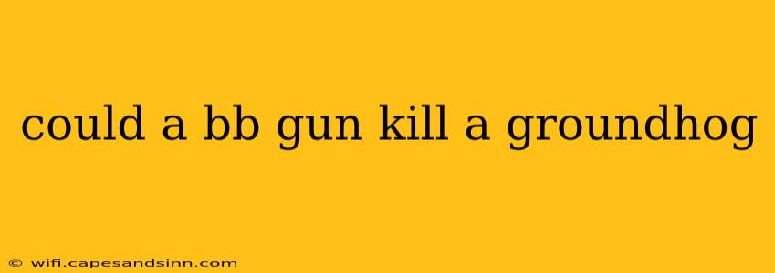 could a bb gun kill a groundhog