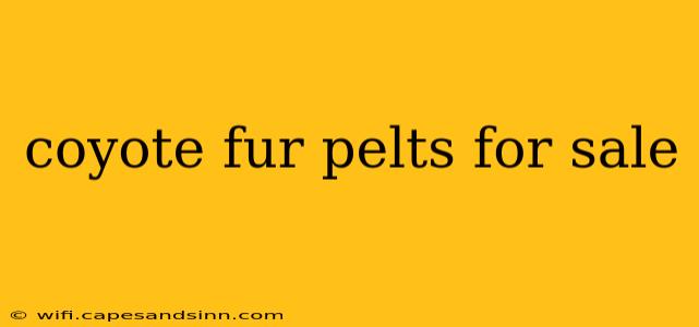 coyote fur pelts for sale