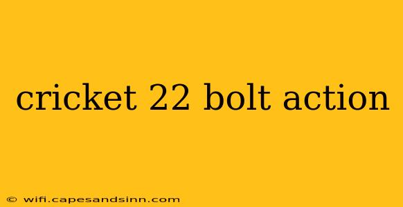 cricket 22 bolt action