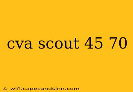 cva scout 45 70