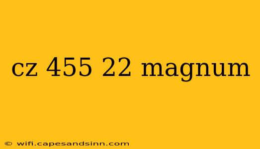 cz 455 22 magnum