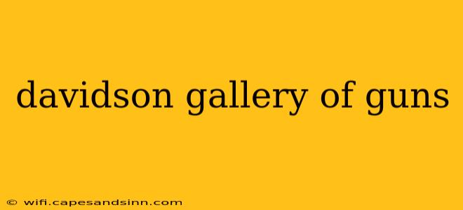 davidson gallery of guns