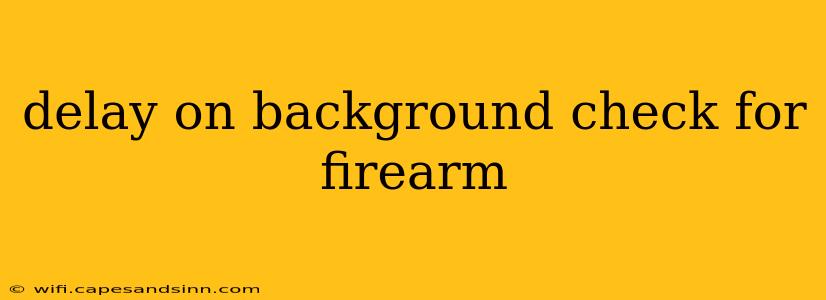 delay on background check for firearm