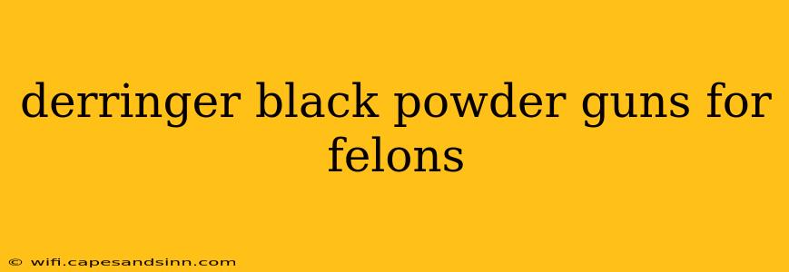 derringer black powder guns for felons