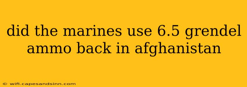 did the marines use 6.5 grendel ammo back in afghanistan