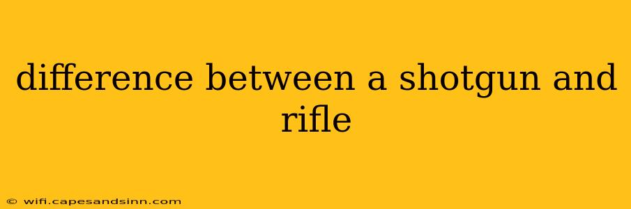 difference between a shotgun and rifle